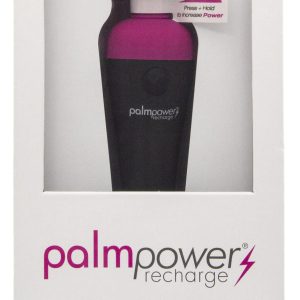 PalmPower Massage Wand Recharge Waterproof
