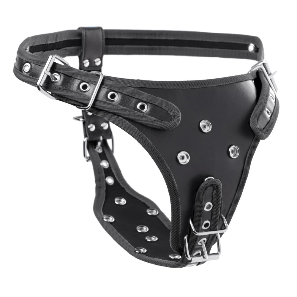 Double Penetration Strap On H - Image 5